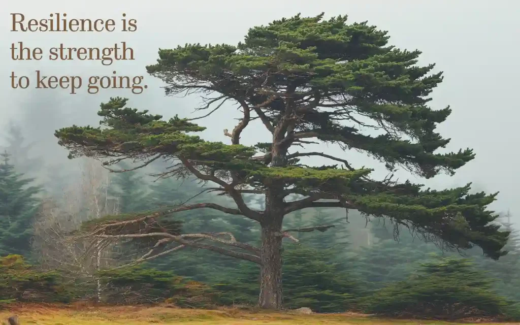 Take care of your mental health quotes resilience building with strong tree 