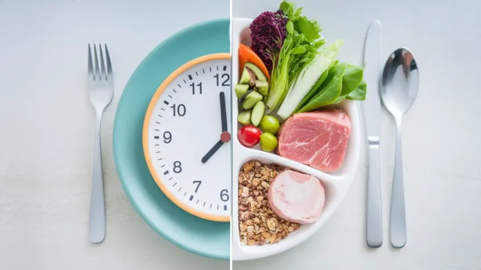 Overview of the biphasic diet, illustrating fasting and feeding phases.