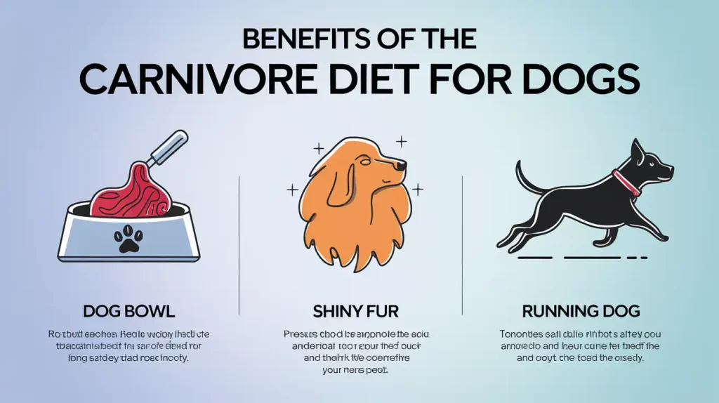 A vibrant infographic showing the benefits of the carnivore diet for dogs.