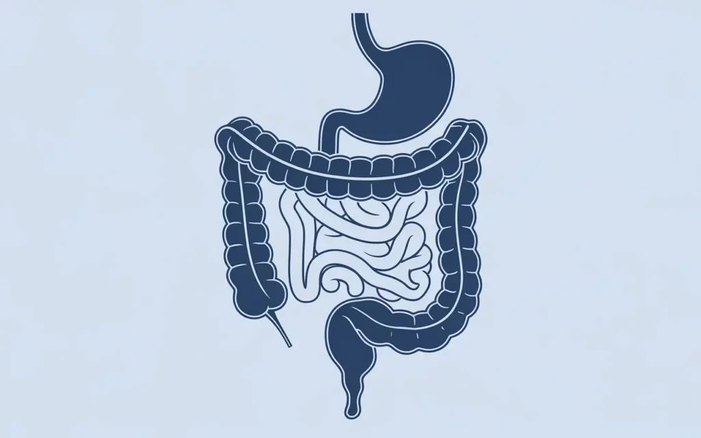 A medical illustration of colon resection surgery showing the digestive system.
