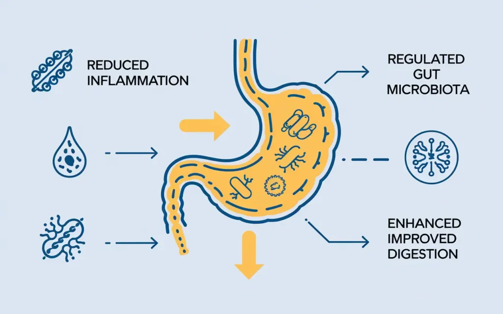 An infographic illustrating the health benefits of fasting for IBS, such as reduced inflammation and better digestion.
