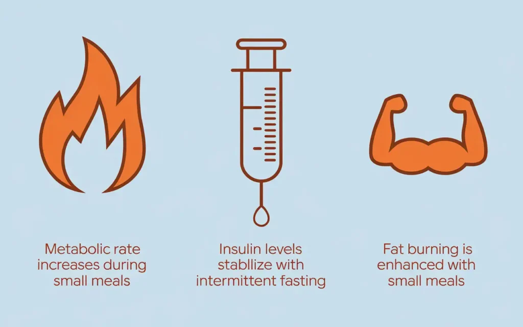 Intermittent fasting vs small meals impact on metabolism