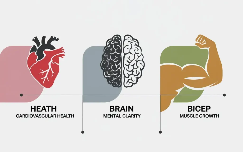 Icons of heart, brain, and muscle illustrating health benefits